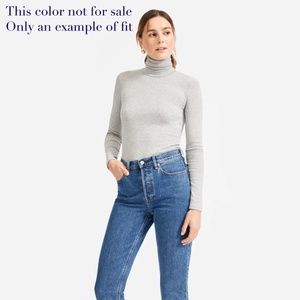 Everlane Pima Micro-Rib Turtleneck in Dark Royal Blue, size S, NWOT